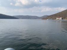 Enlarge photo 59