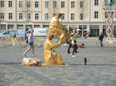 Enlarge photo 153