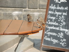 Enlarge photo 166