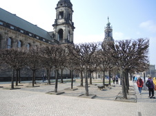 Enlarge photo 179