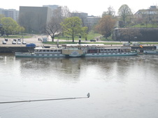 Enlarge photo 185