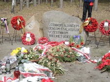 Enlarge photo 228