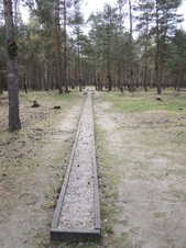 Enlarge photo 229