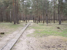 Enlarge photo 231