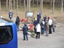 Enlarge photo 233