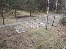 Enlarge photo 232