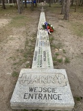 Enlarge photo 241
