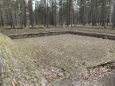 Enlarge photo 242