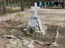 Enlarge photo 244