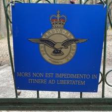 Enlarge photo 247