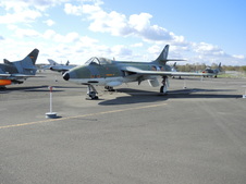 Enlarge photo 271