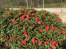 Enlarge photo 20