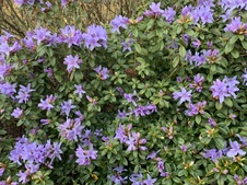 Enlarge photo 22