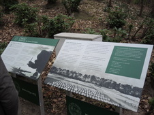 Enlarge photo 321