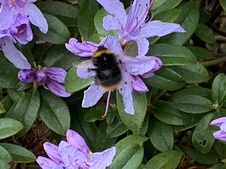 Enlarge photo 21