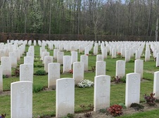 Enlarge photo 388