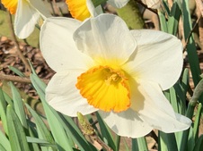 Enlarge photo 23