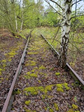 Enlarge photo 42