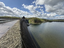 Enlarge photo 30