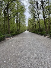 Enlarge photo 125