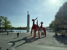 Enlarge photo 136