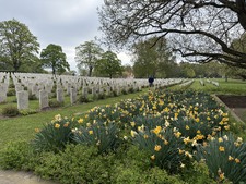 Enlarge photo 138