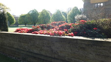Enlarge photo 2