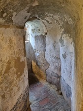 Enlarge photo 51