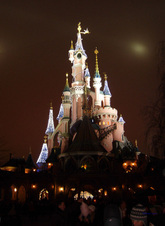 Enlarge photo 71