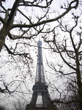 Enlarge photo 43