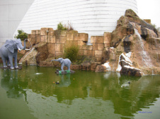 Enlarge photo 52