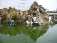 Enlarge photo 53