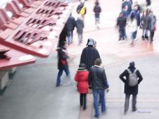Enlarge photo 62