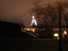 Enlarge photo 66