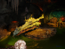 Enlarge photo 73
