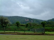 Enlarge photo 20