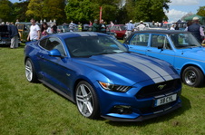 Enlarge photo 30