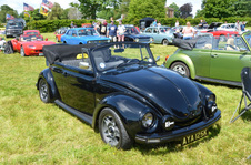 Enlarge photo 62