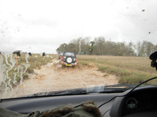 Enlarge photo 24