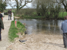 Enlarge photo 10