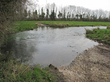 Enlarge photo 15