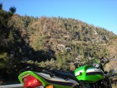 Enlarge photo 17