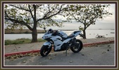 Enlarge photo 7