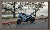 Enlarge photo 8