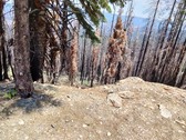 Enlarge photo 9