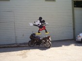 Enlarge photo 12