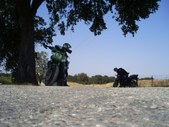 Enlarge photo 10