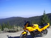 Enlarge photo 13