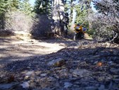 Enlarge photo 20