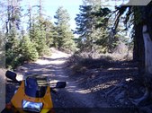 Enlarge photo 4